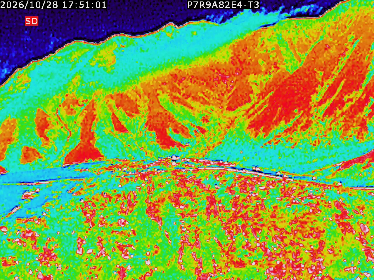 thermal-lilin_202610281751.mp4