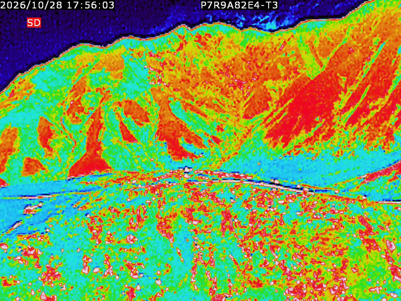 thermal-lilin_202610281756.mp4